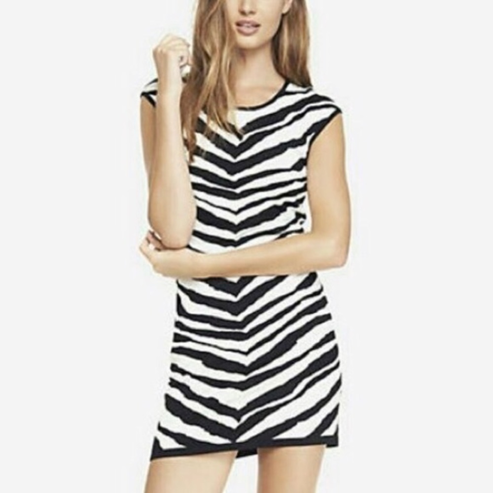 Express Zebra Sweater Knit Dress